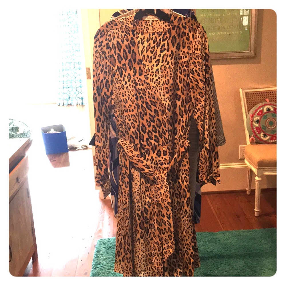 Frame Cheetah Print Dress